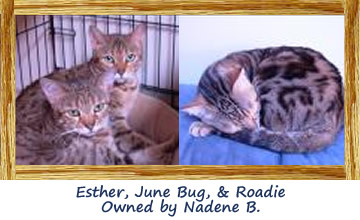 Esther, June Bug, and Roadie