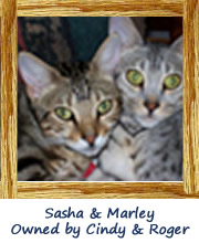 Sasha & Marley